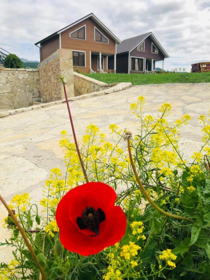Cottage Chalet And Tours Dilijan Εξωτερικό φωτογραφία